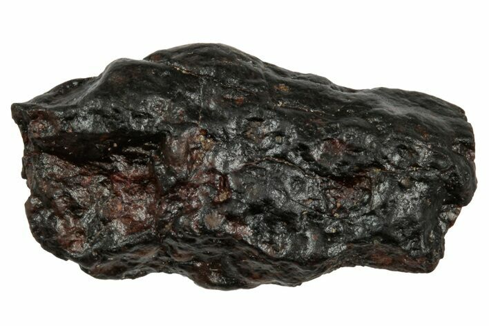 Carbonaceous Chondrite Meteorite ( g) - NWA #333059